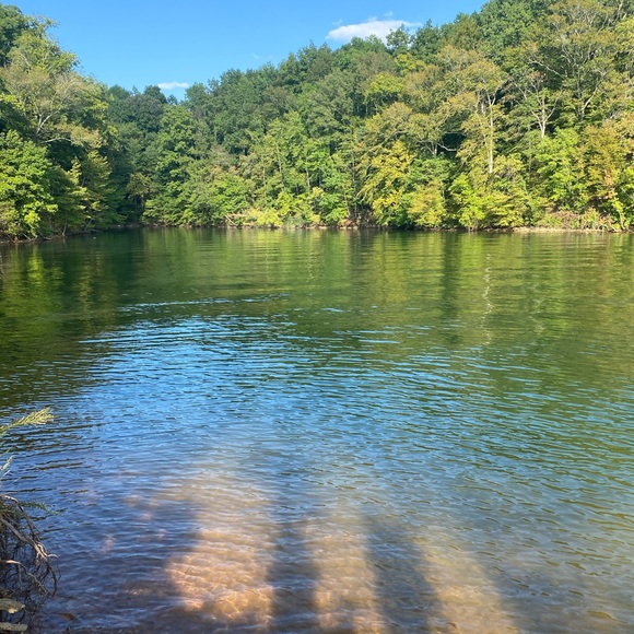 Meet your Posher, Janet - Picture 1 of 1